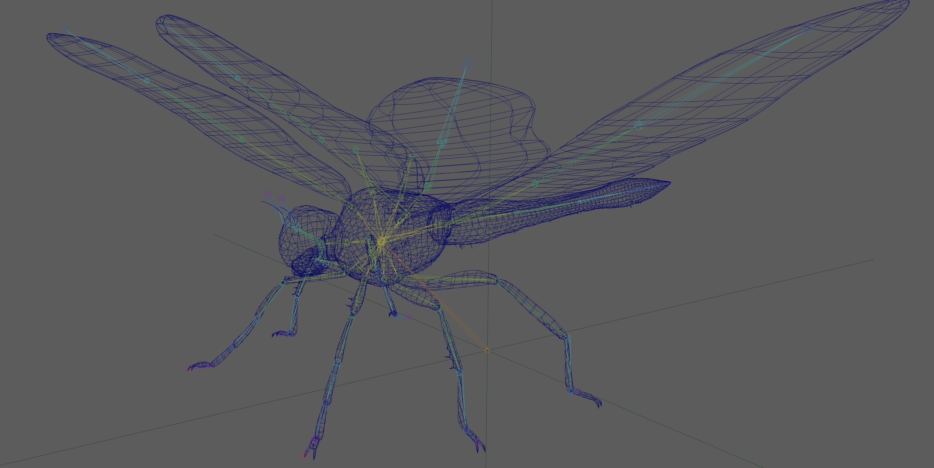 Dragonfly 3D model_15
