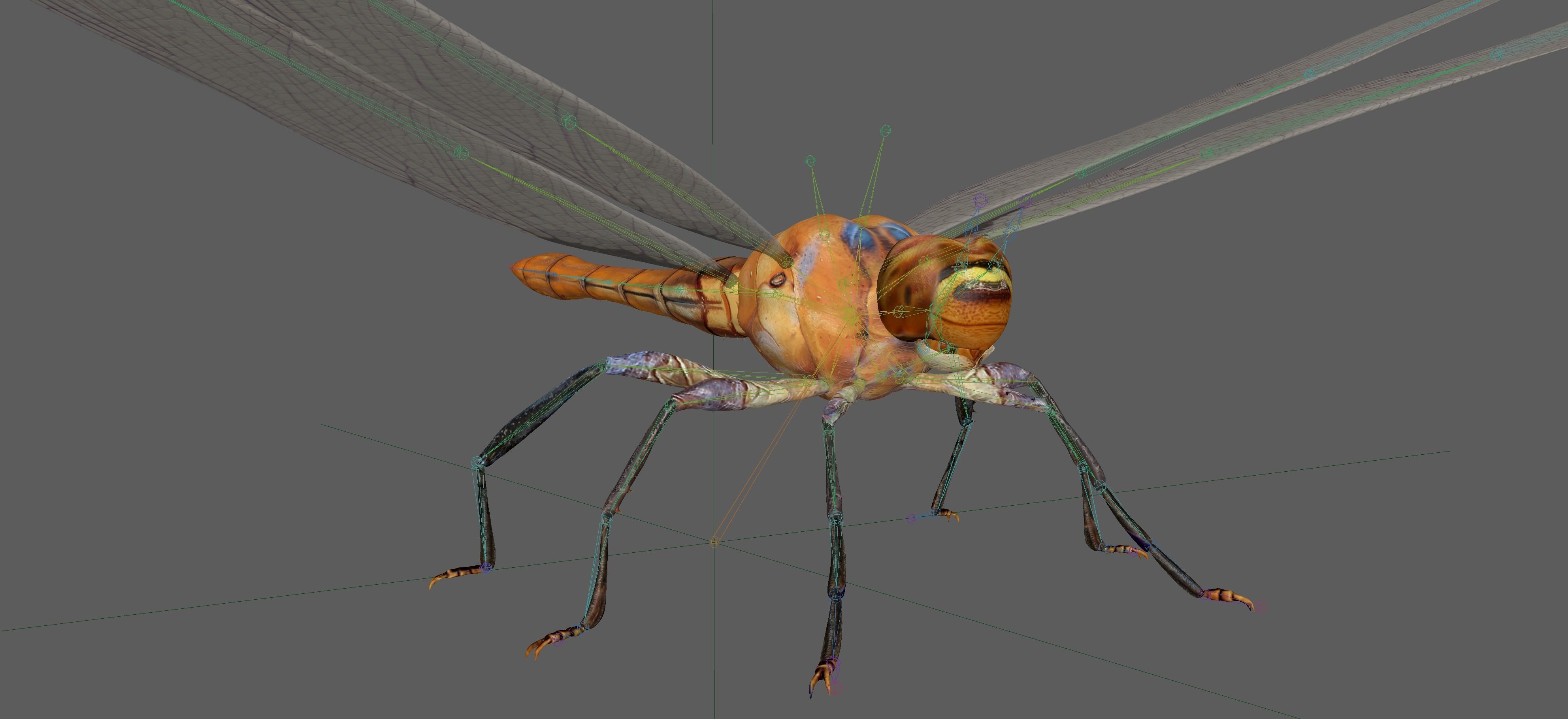 Dragonfly 3D model_18