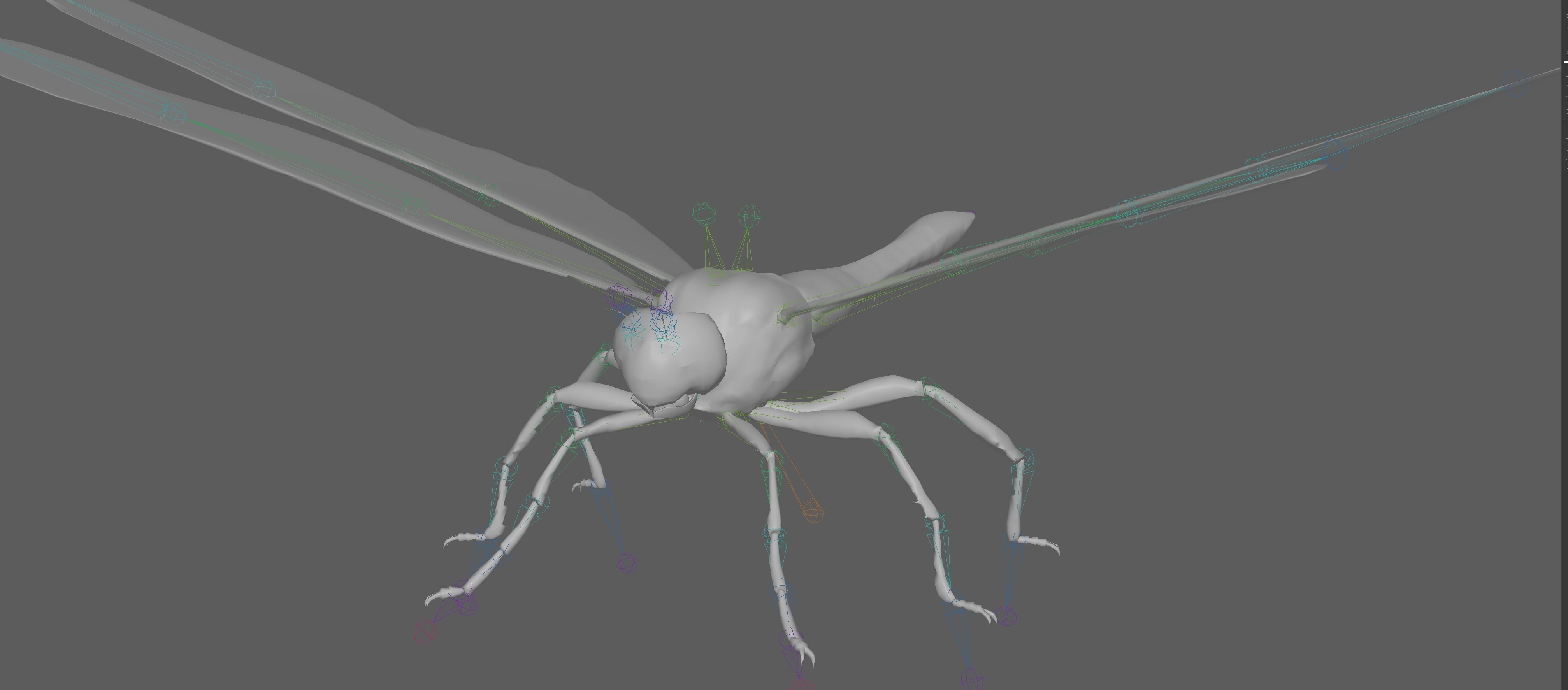 Dragonfly 3D model_8