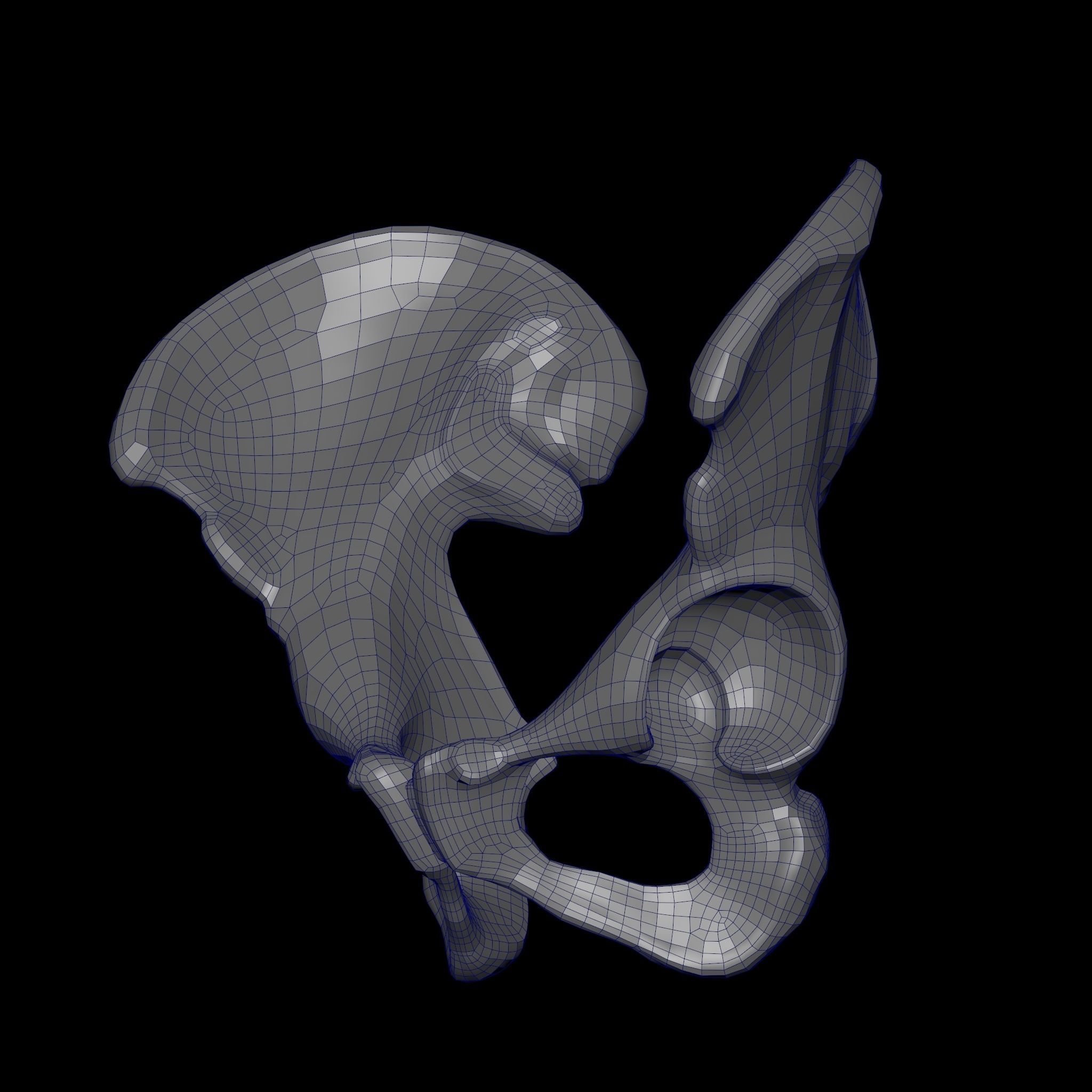 Human Ilium - Hip Bone Low-poly 3D model_19