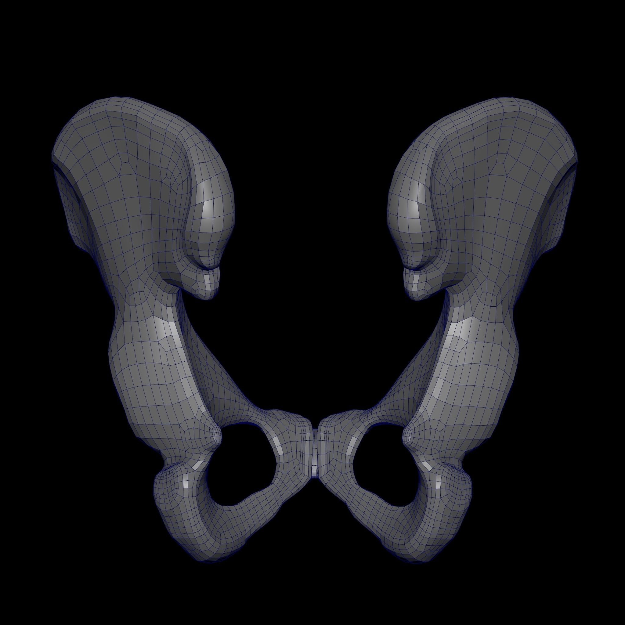 Human Ilium - Hip Bone Low-poly 3D model_22
