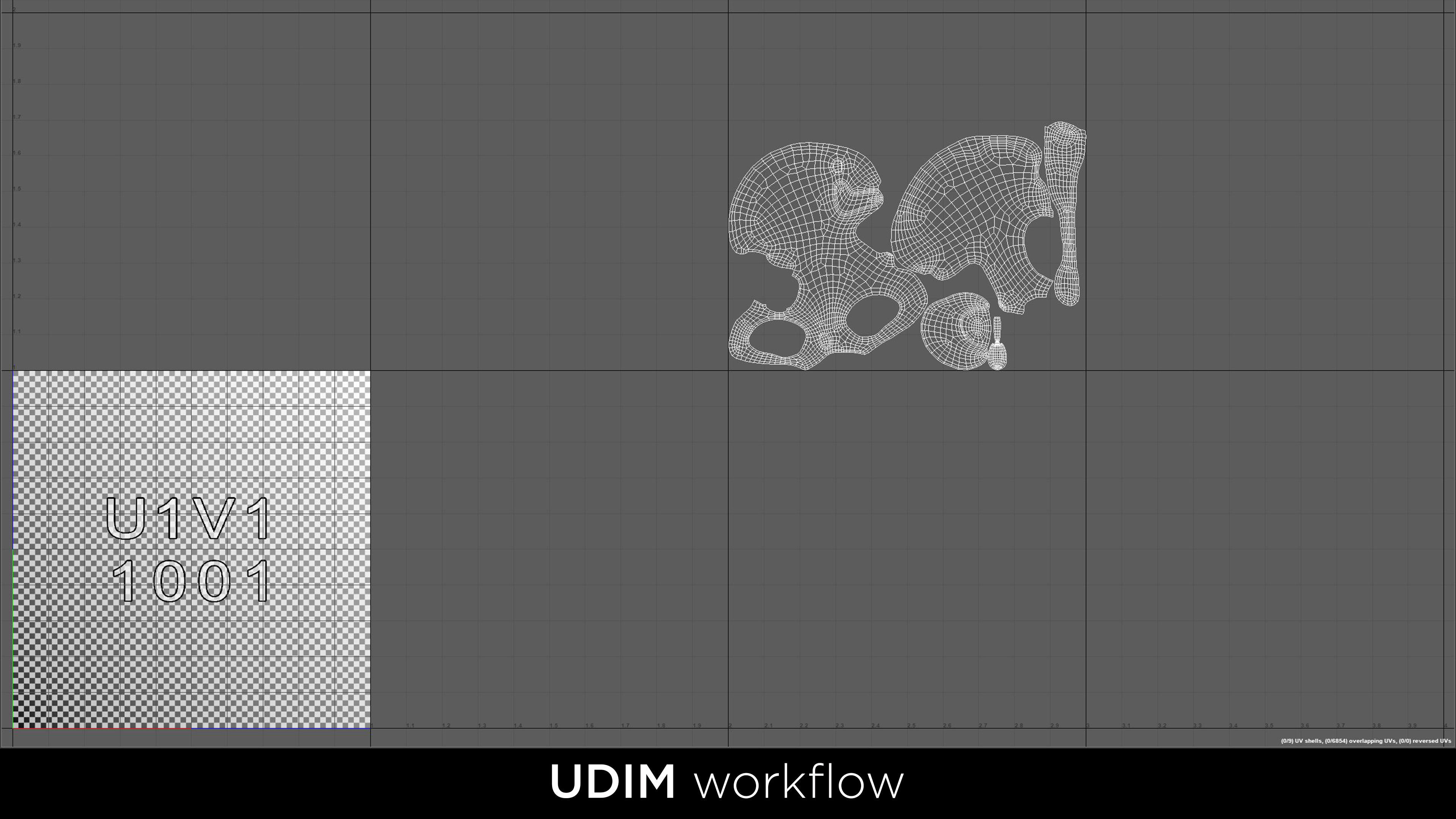 Human Ilium - Hip Bone Low-poly 3D model_25