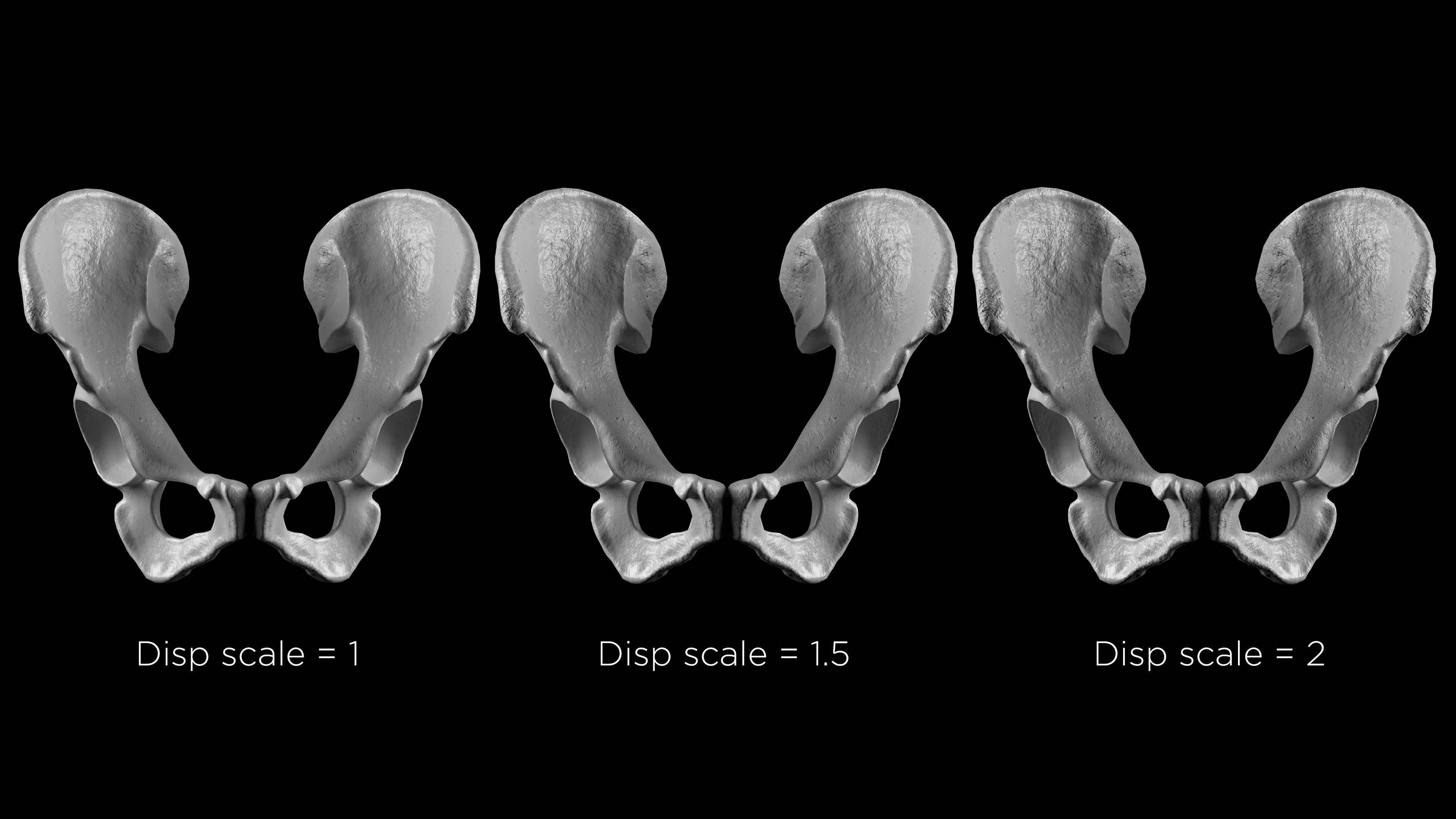 Human Ilium - Hip Bone Low-poly 3D model_13