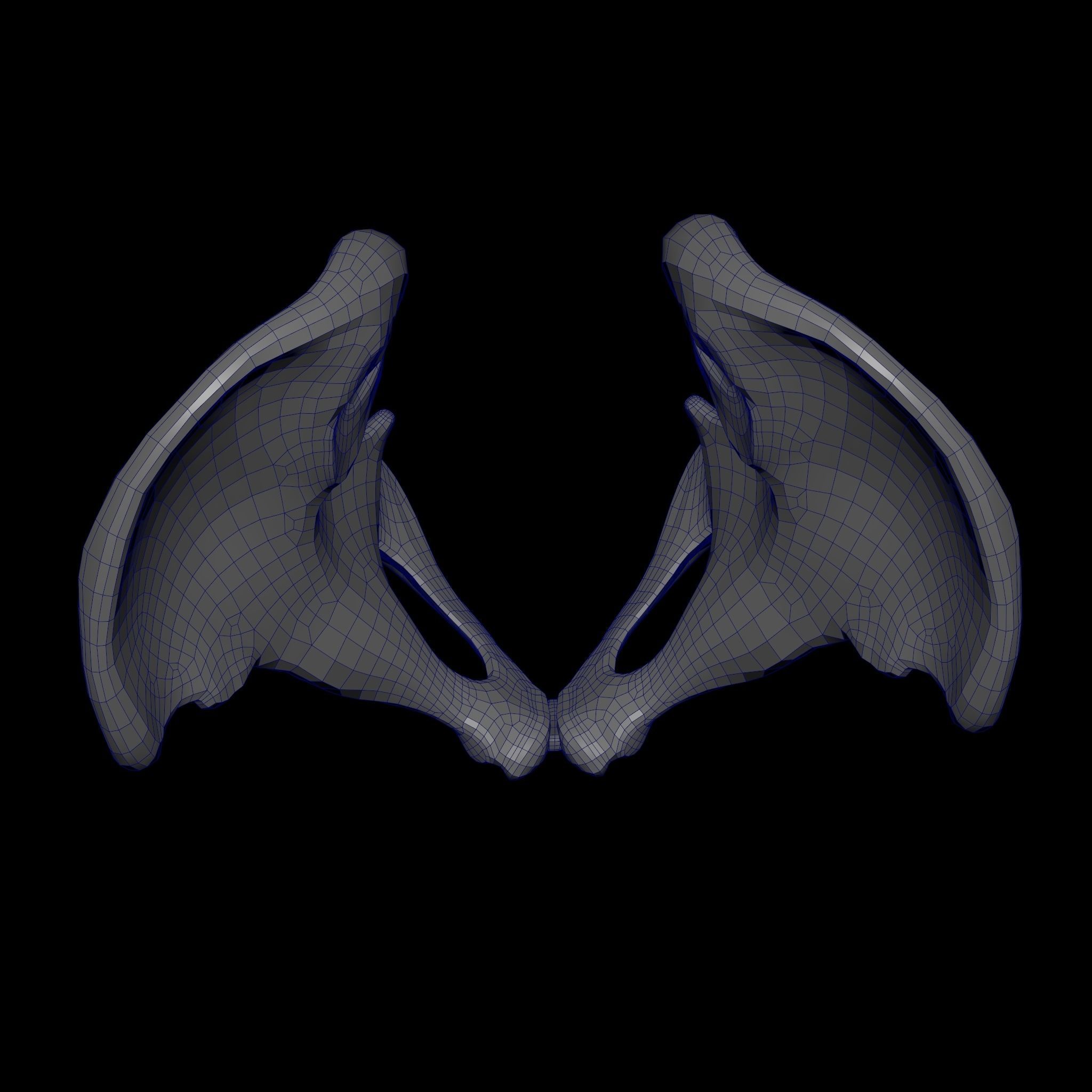 Human Ilium - Hip Bone Low-poly 3D model_20