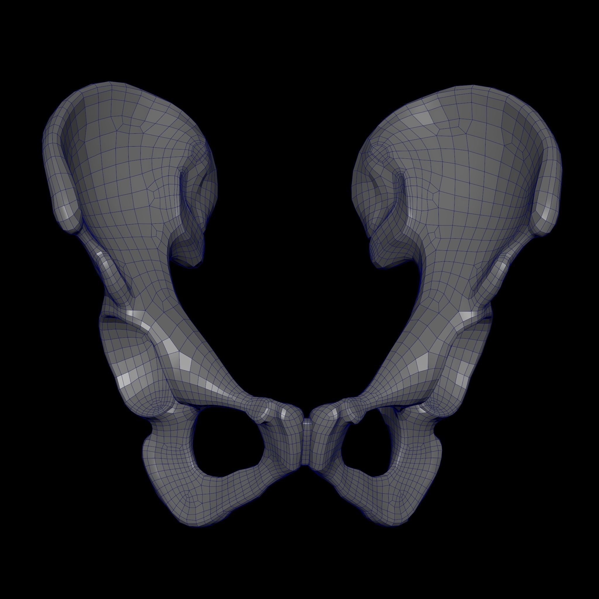 Human Ilium - Hip Bone Low-poly 3D model_18