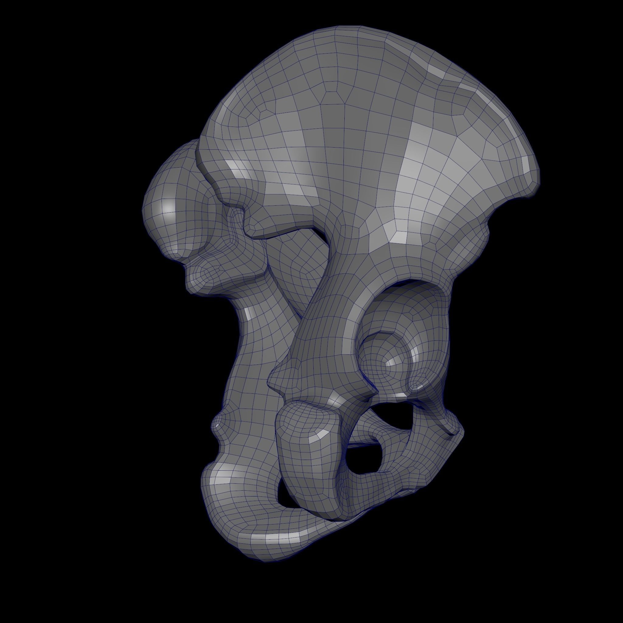 Human Ilium - Hip Bone Low-poly 3D model_23