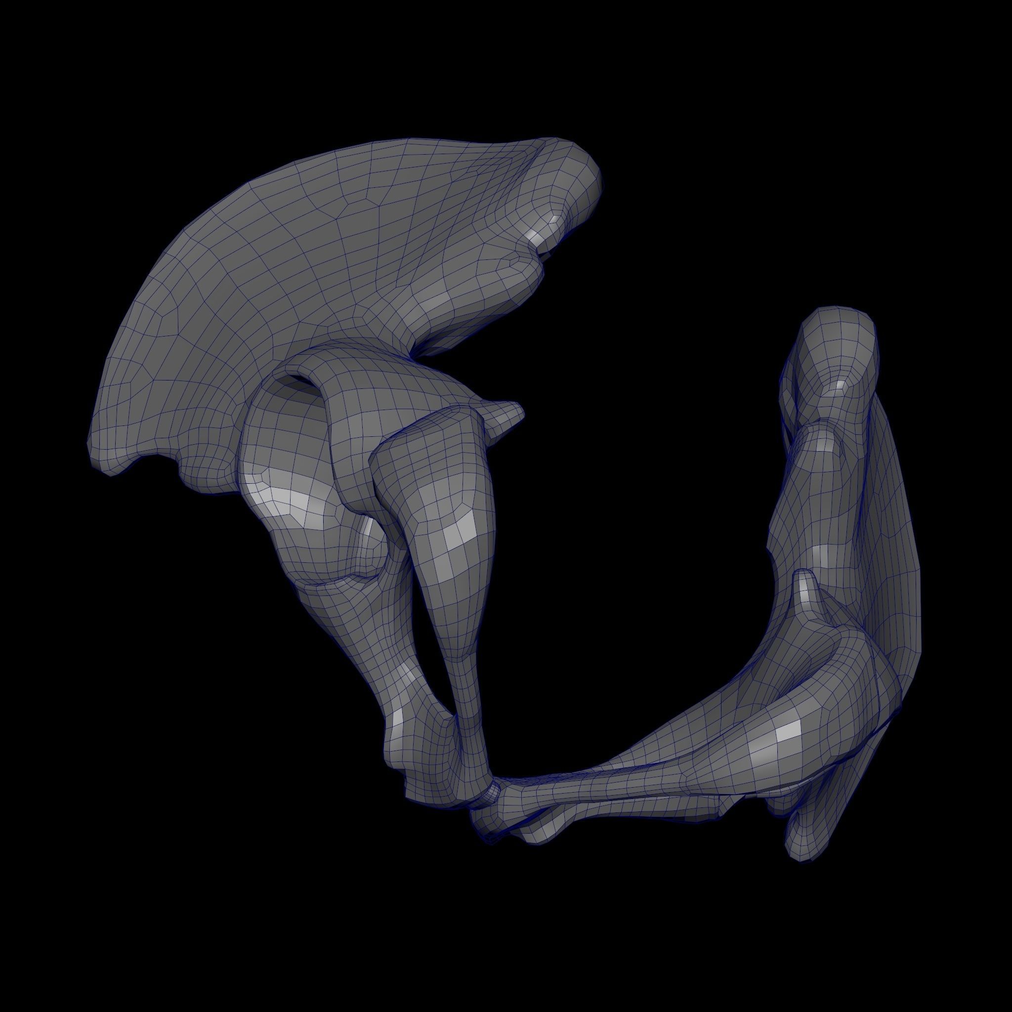 Human Ilium - Hip Bone Low-poly 3D model_21