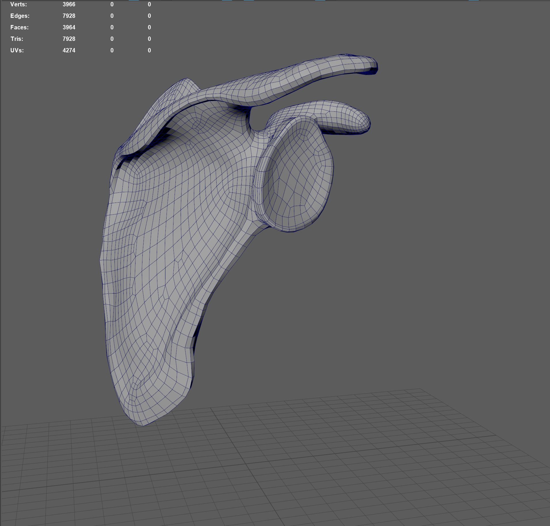 Human Scapula Low-poly 3D model_16