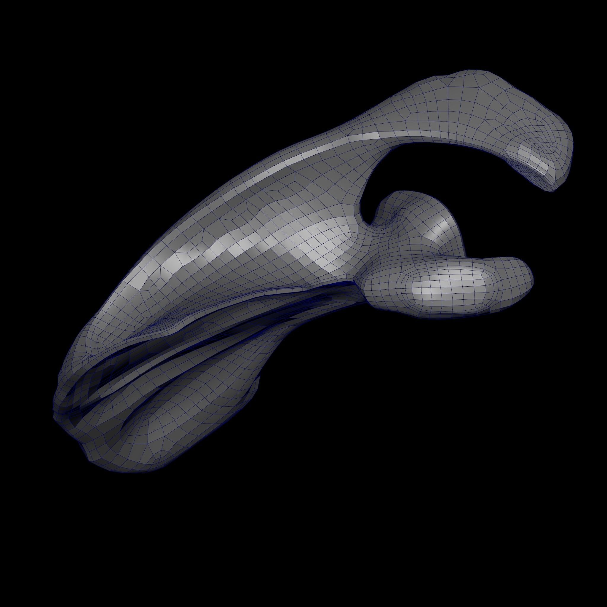 Human Scapula Low-poly 3D model_23