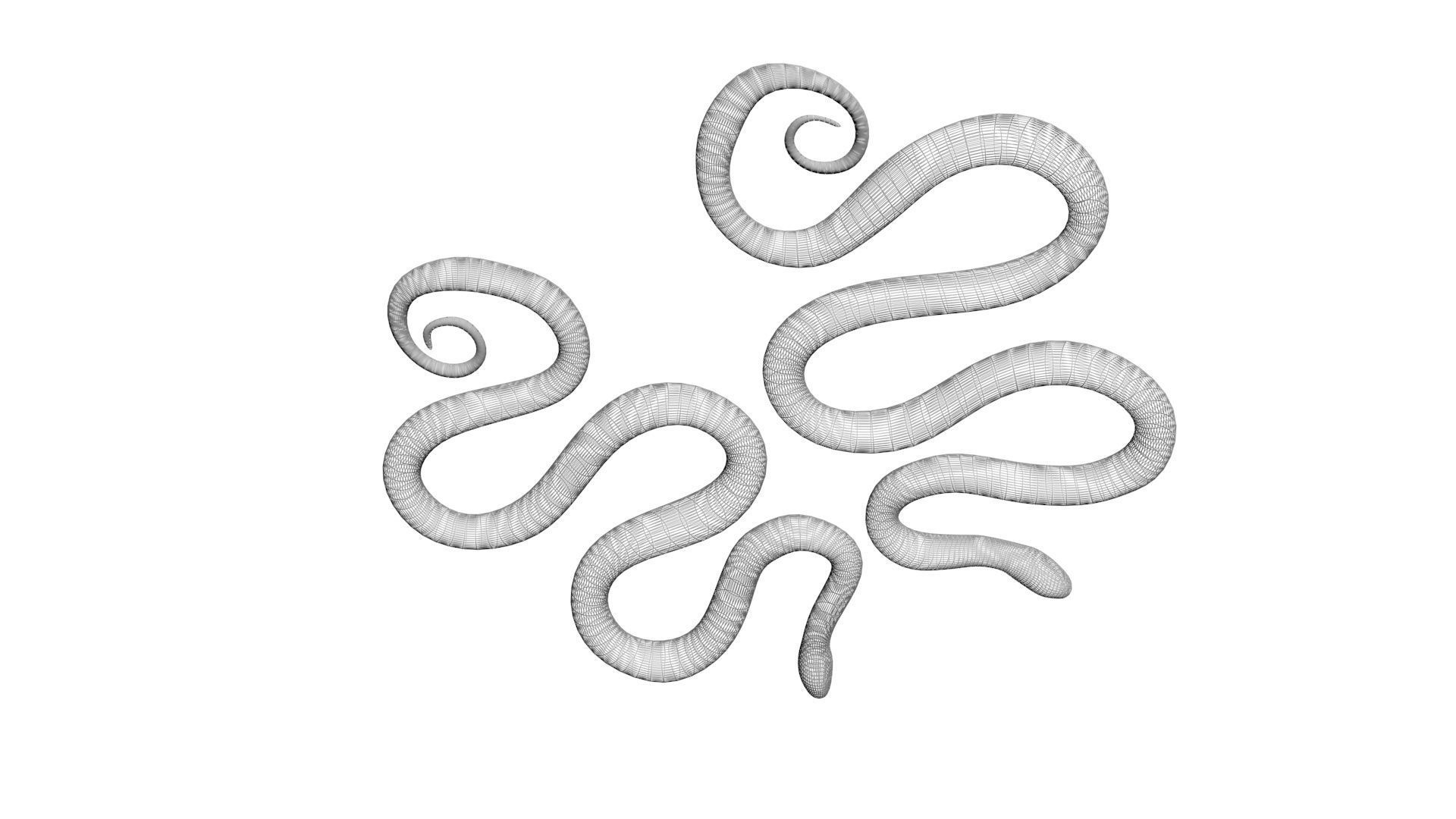 Snakes 3D model_23