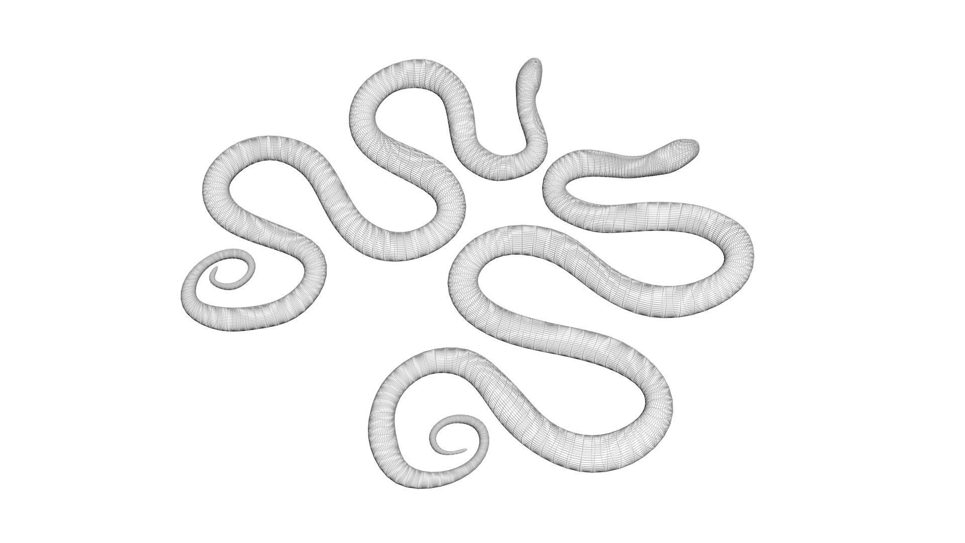 Snakes 3D model_19