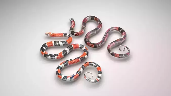 Snakes 3D model