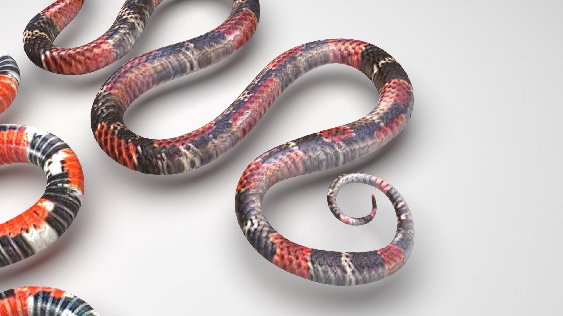Snakes 3D model_7