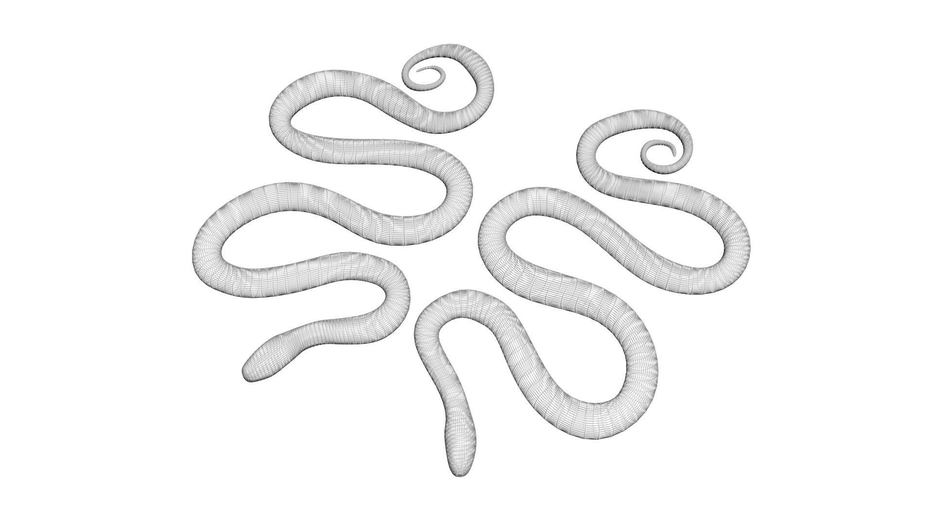 Snakes 3D model_21