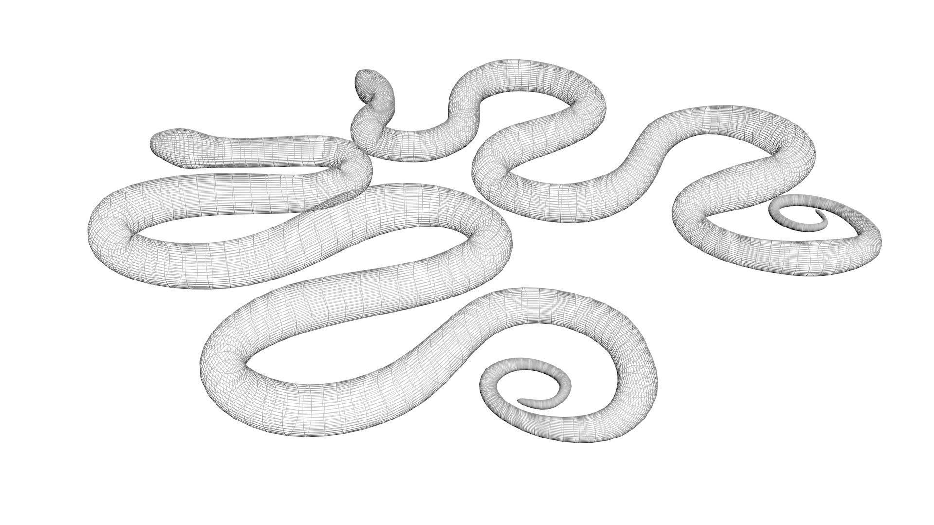 Snakes 3D model_18