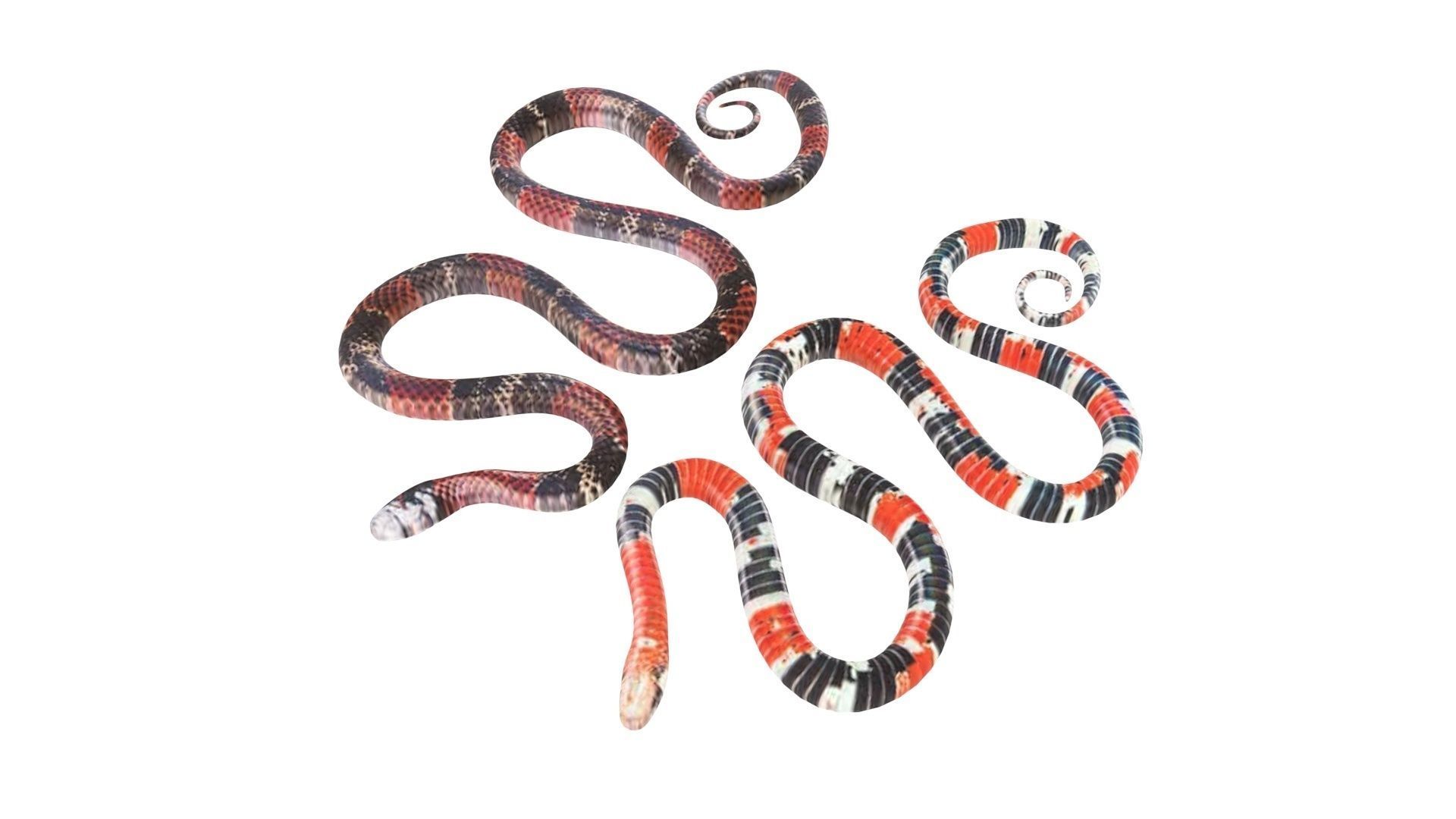 Snakes 3D model_12