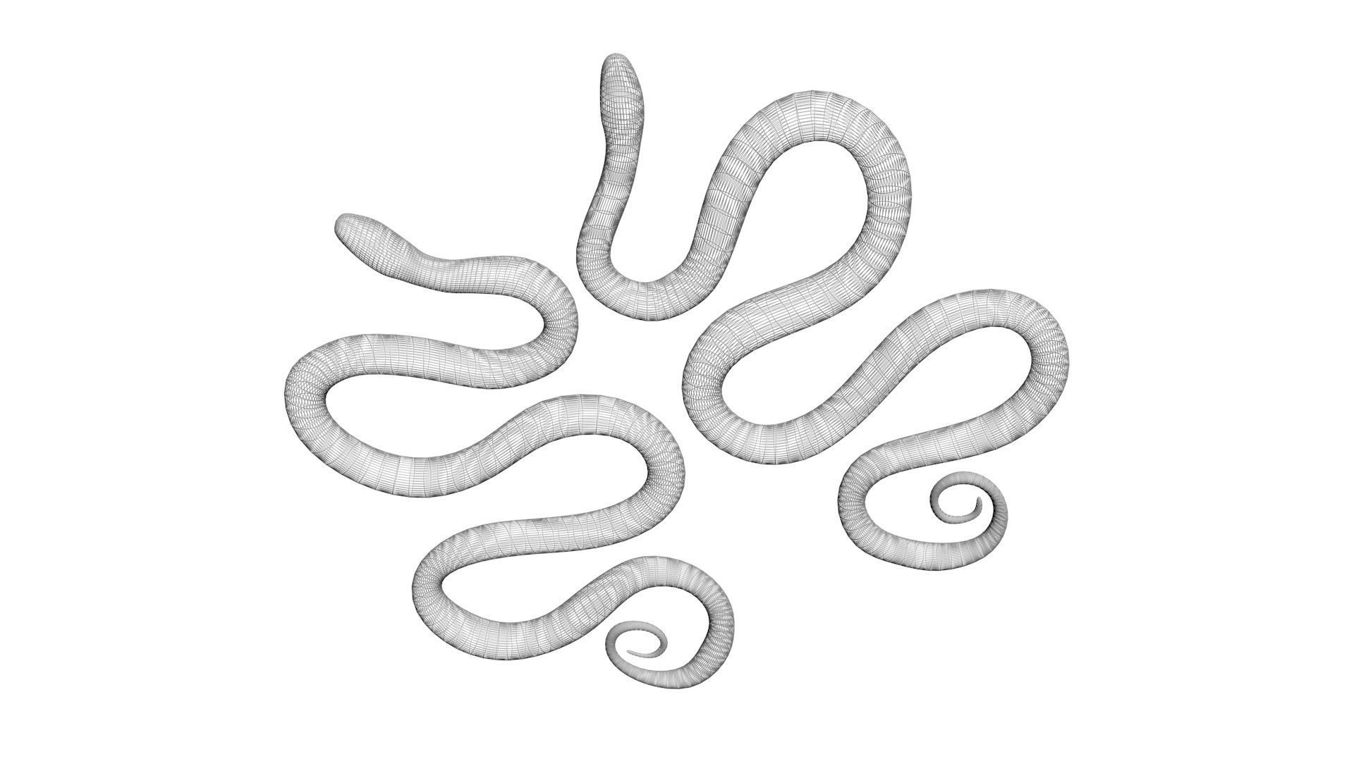 Snakes 3D model_25