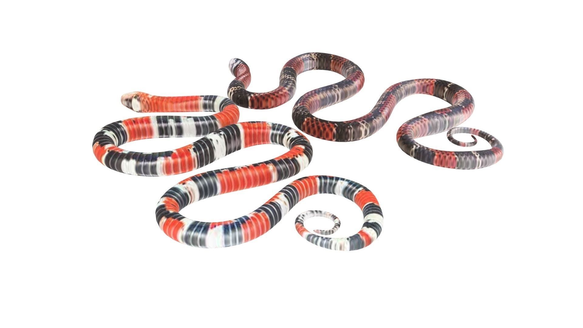 Snakes 3D model_9