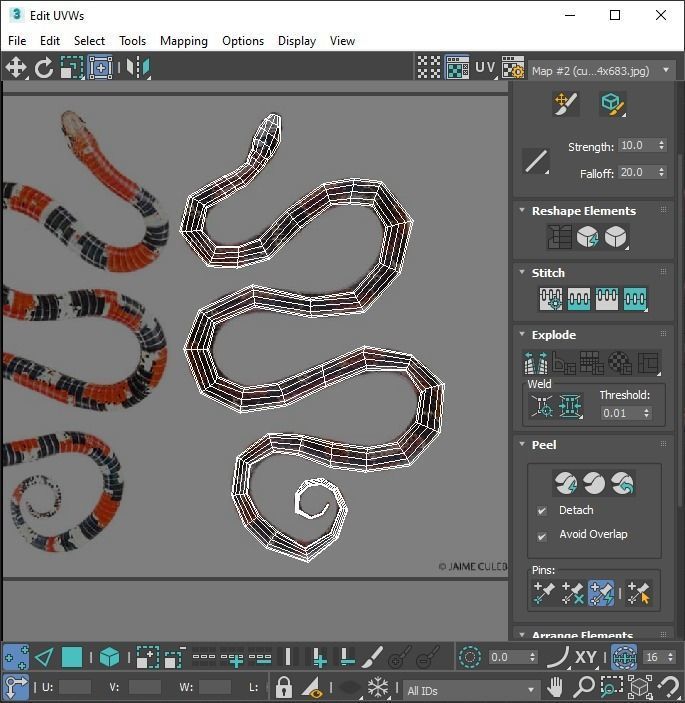 Snakes 3D model_30