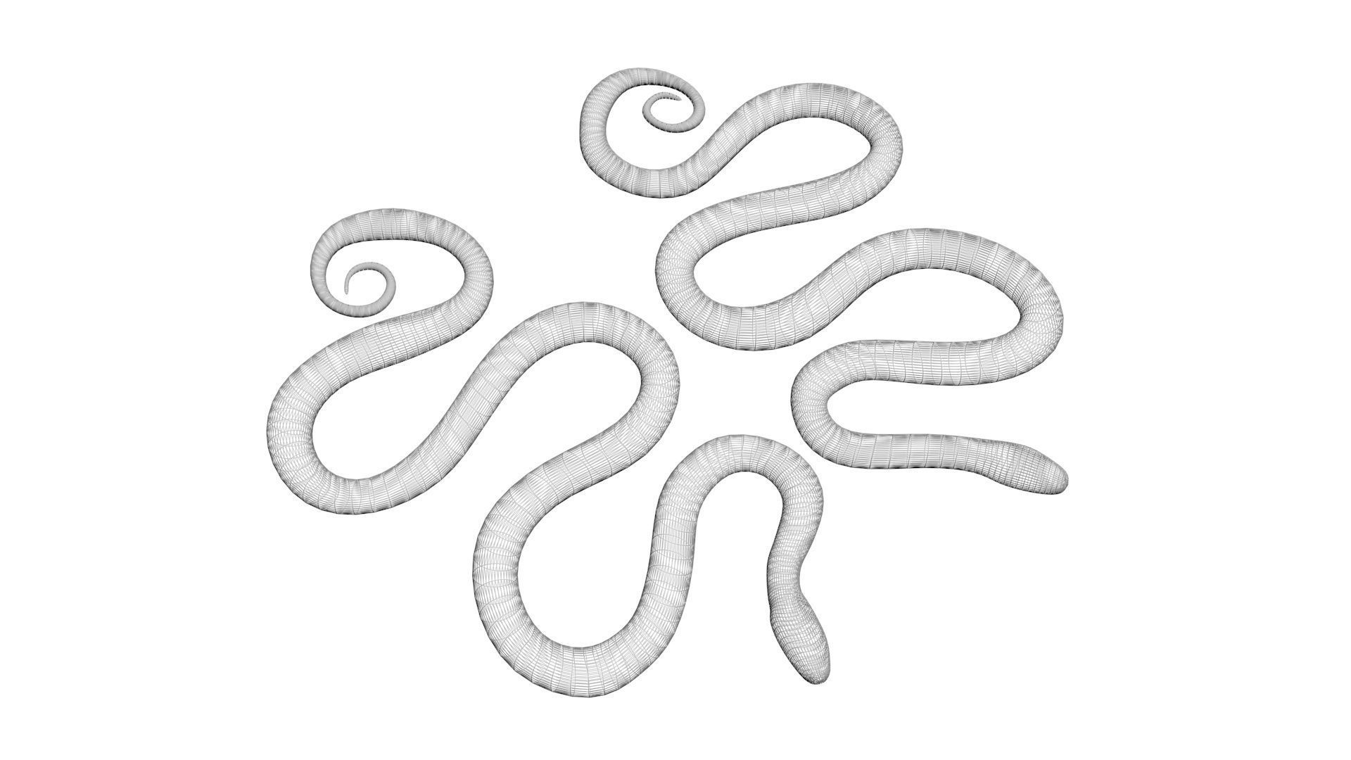 Snakes 3D model_20