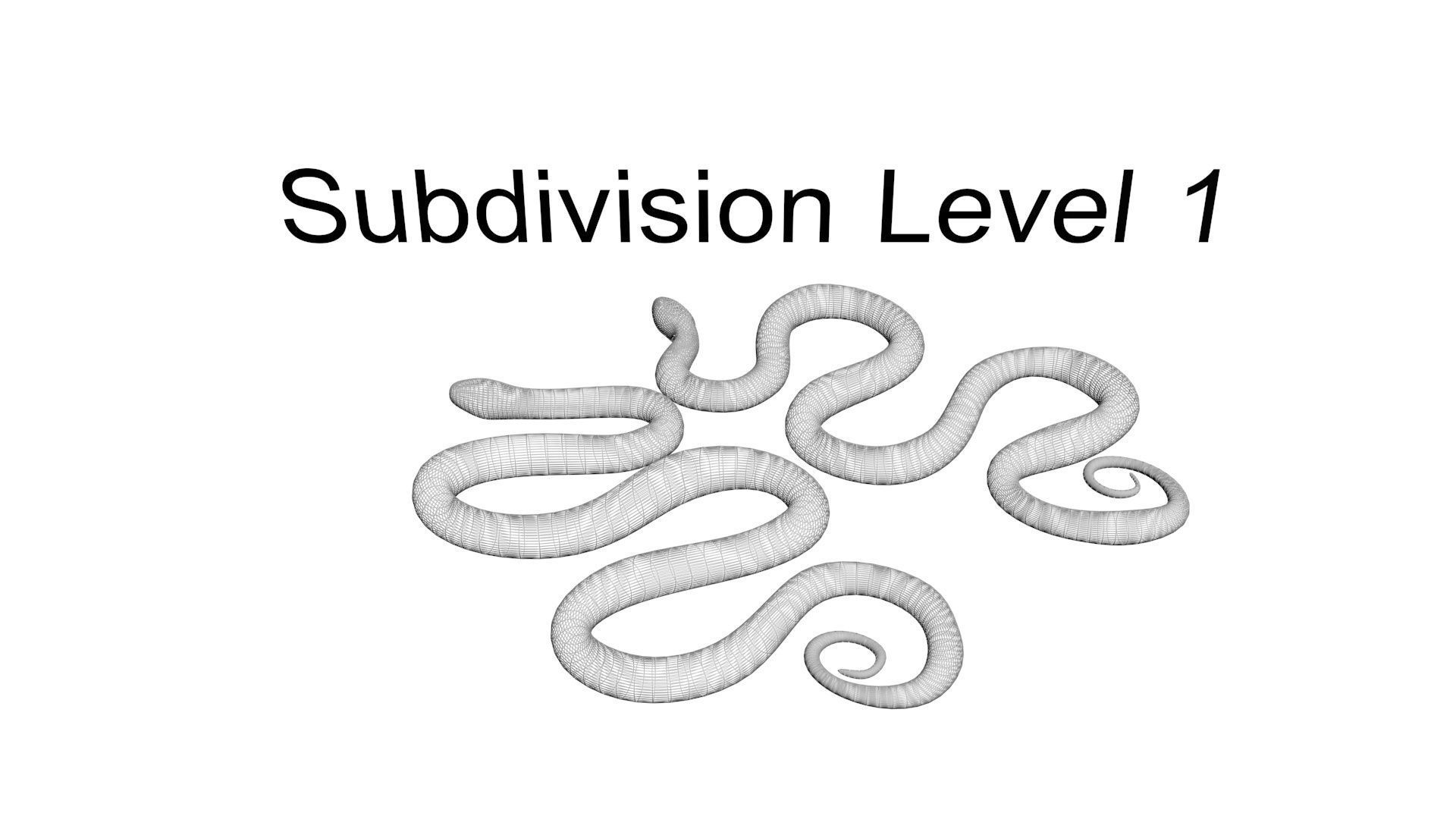 Snakes 3D model_27