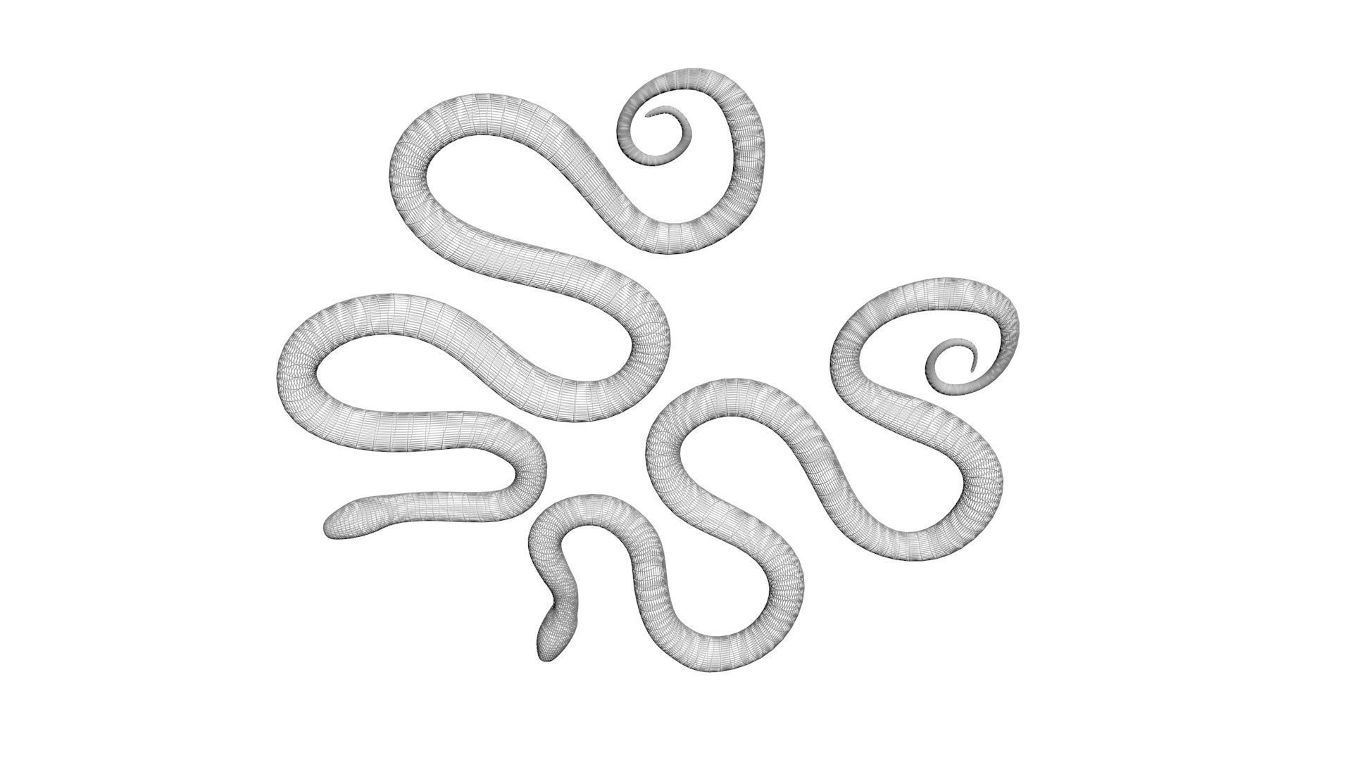 Snakes 3D model_22