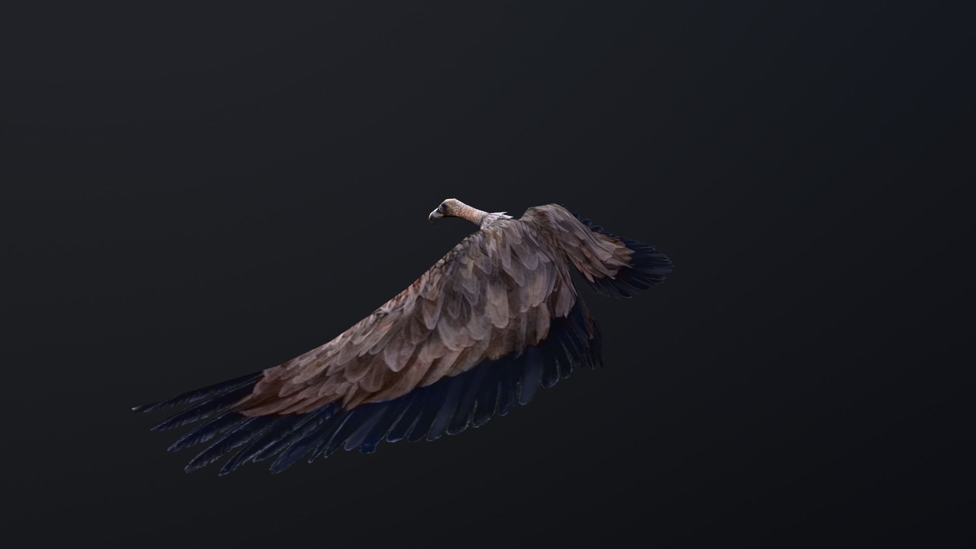 low-poly animated vulture Low-poly 3D model_7