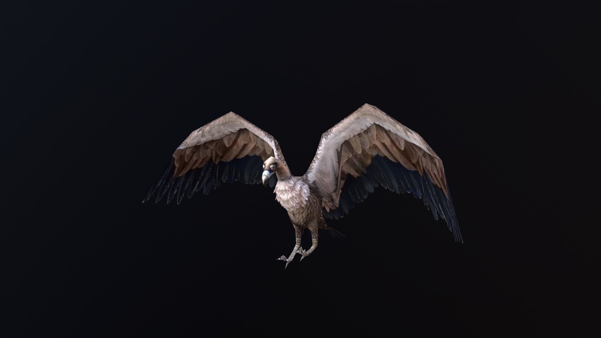 low-poly animated vulture Low-poly 3D model_4