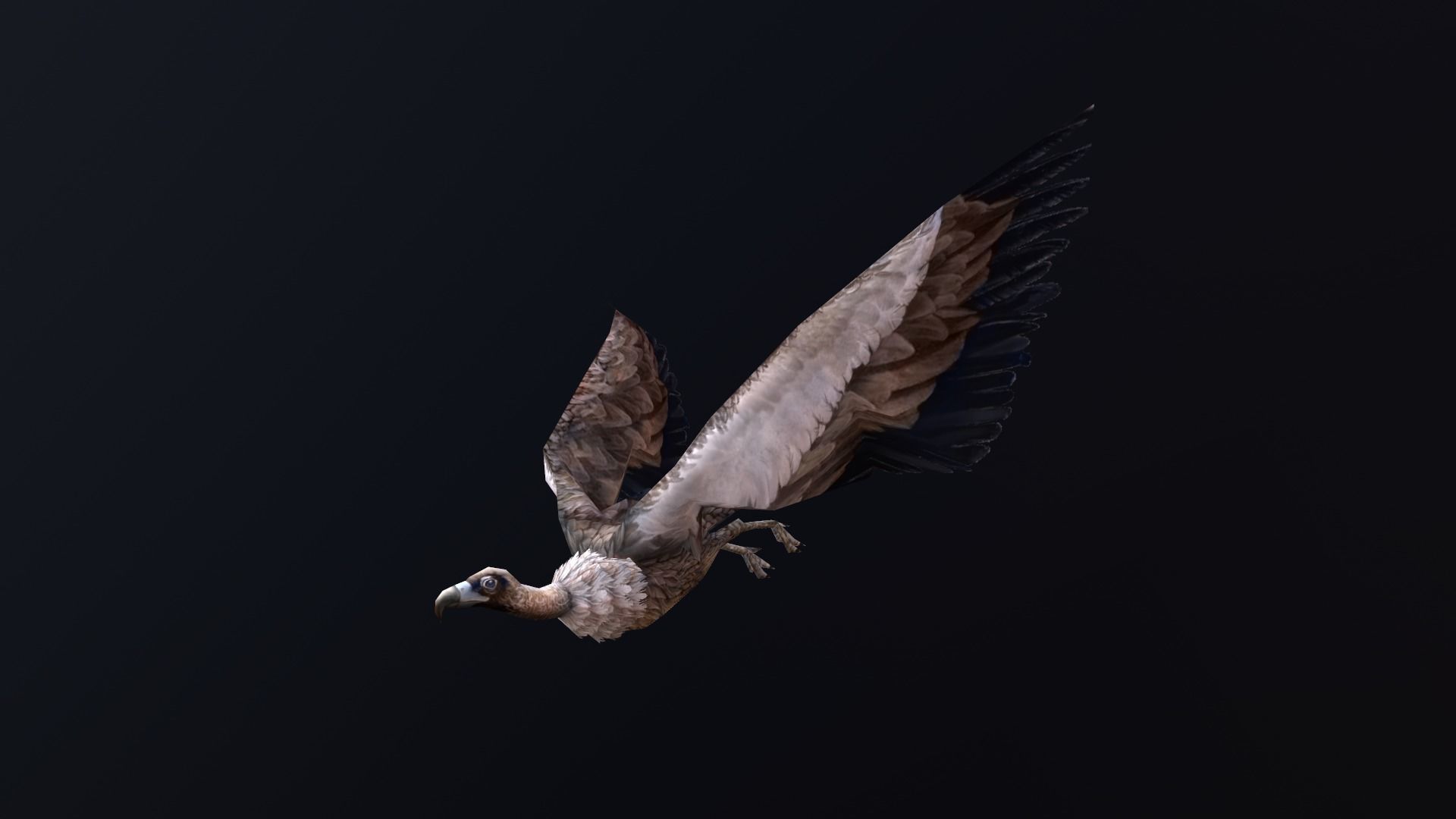 low-poly animated vulture Low-poly 3D model_8