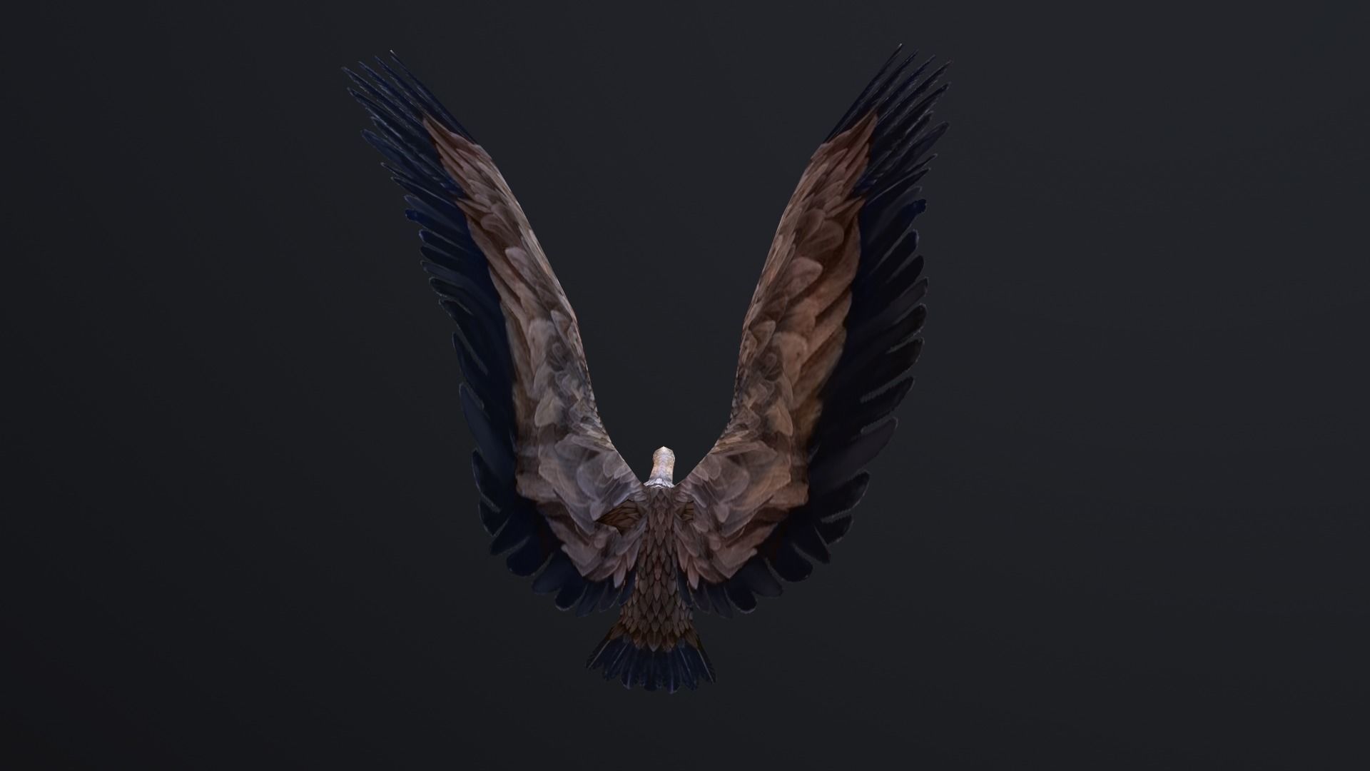 low-poly animated vulture Low-poly 3D model_6