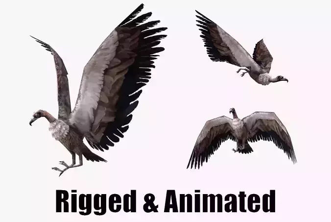 low-poly animated vulture