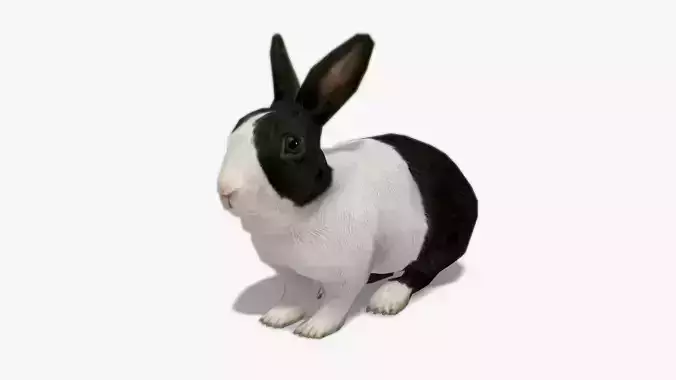 Rabbit bunny Low-poly 3D model