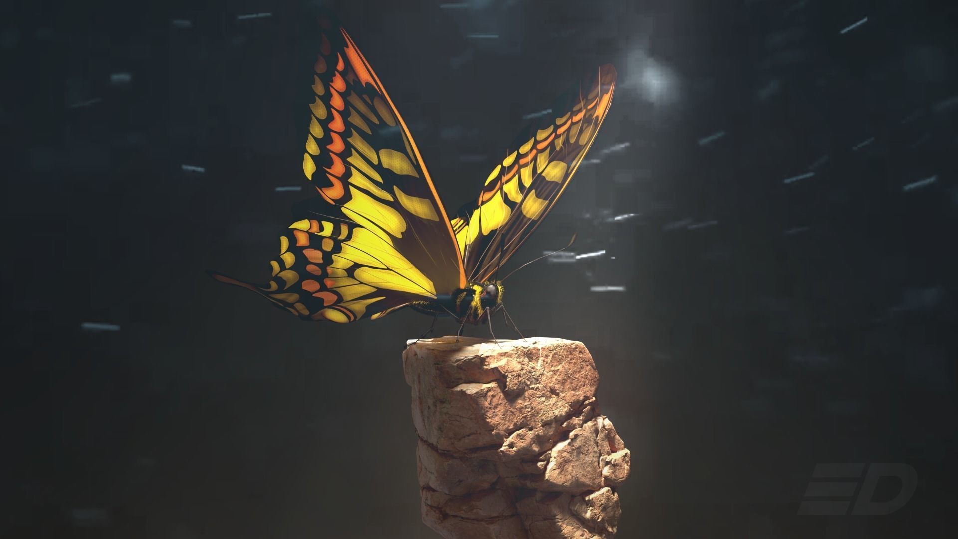 Butterfly on rock 3D model_6