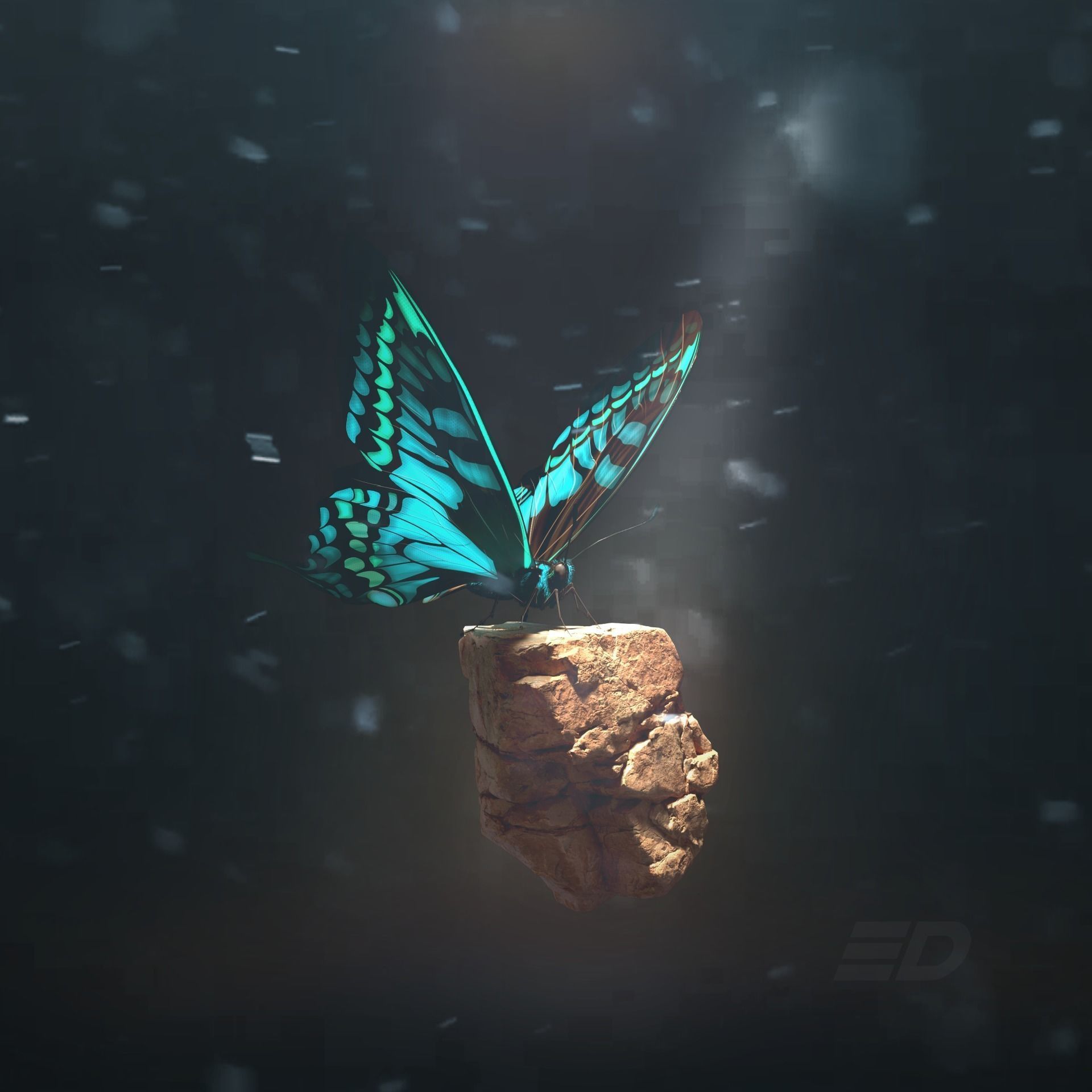 Butterfly on rock 3D model_5