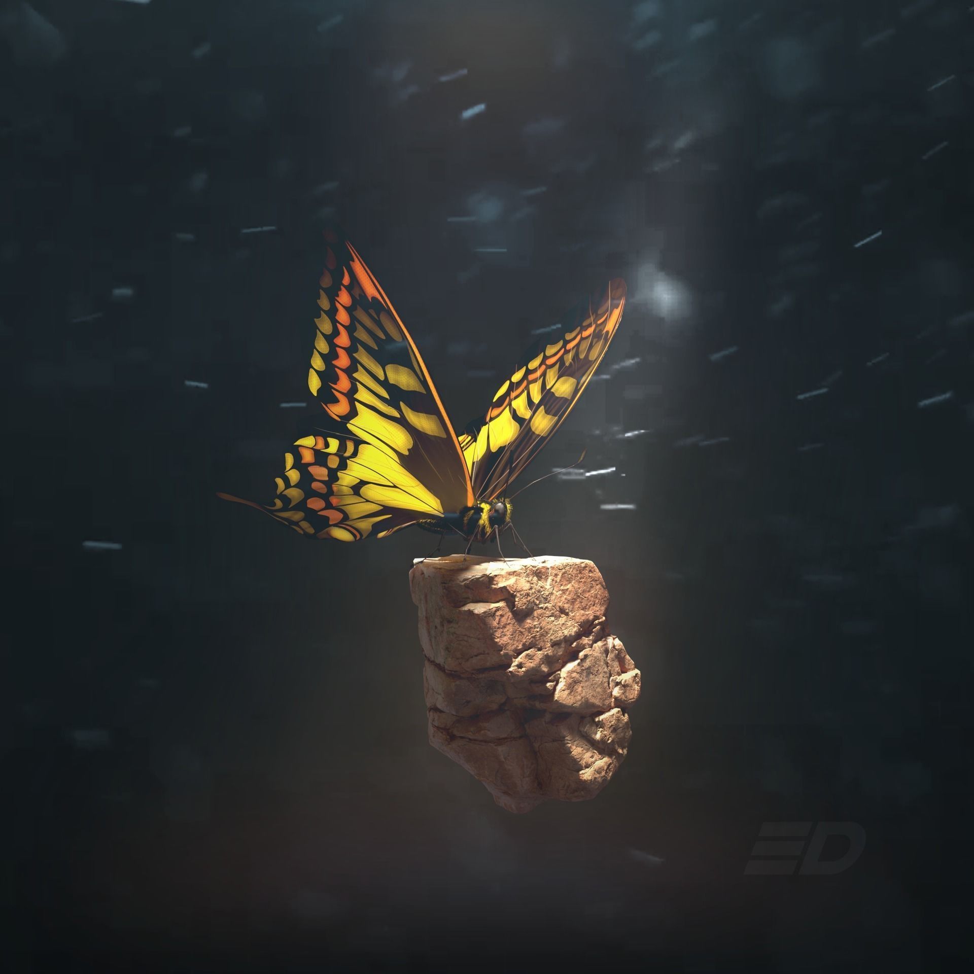 Butterfly on rock 3D model_7