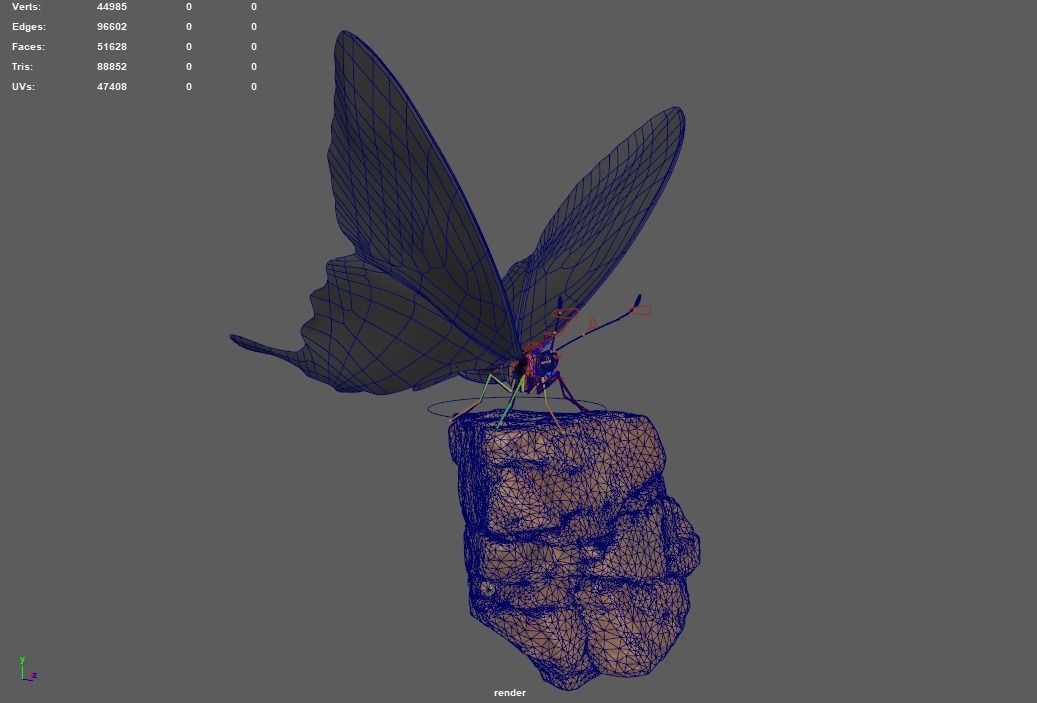 Butterfly on rock 3D model_4