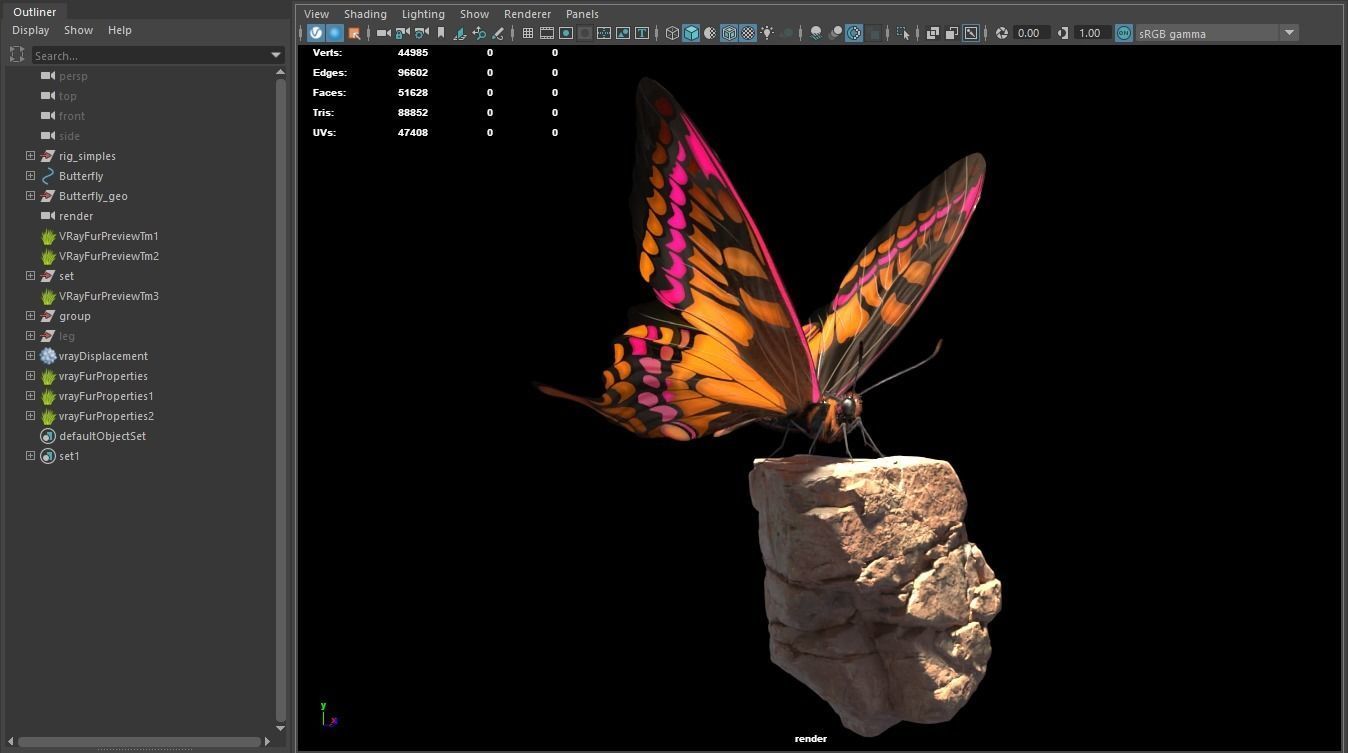 Butterfly on rock 3D model_3