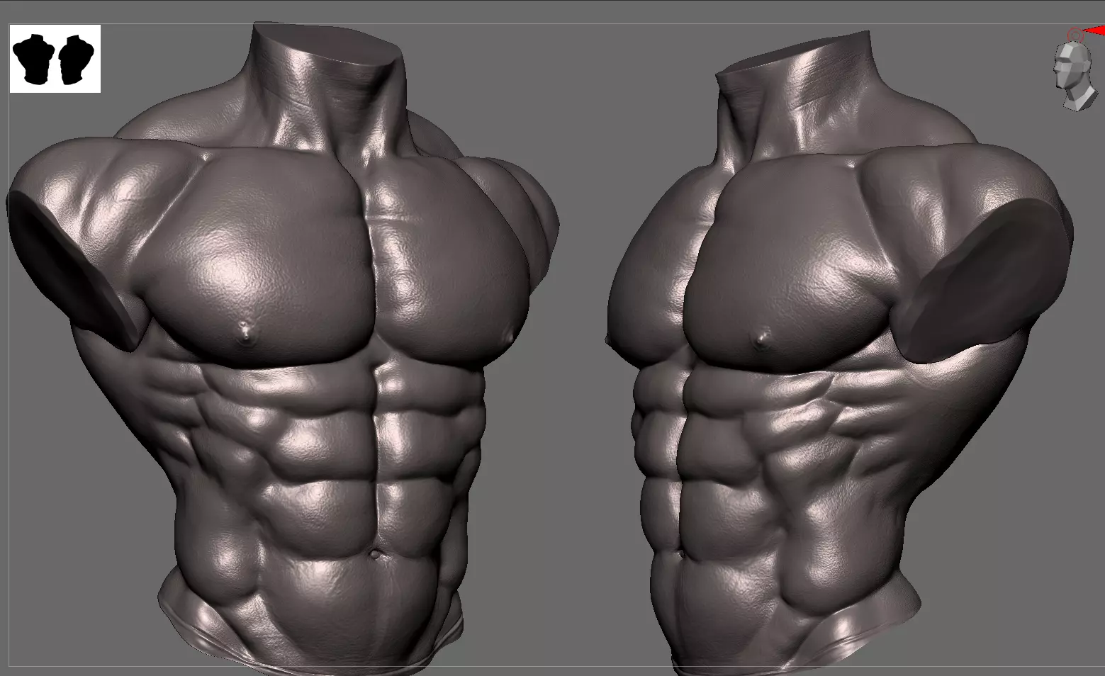 Body Builder Torso 3D model