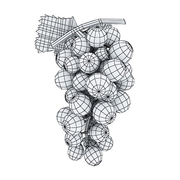 Red Grapes in Bowl 12 3D model_19