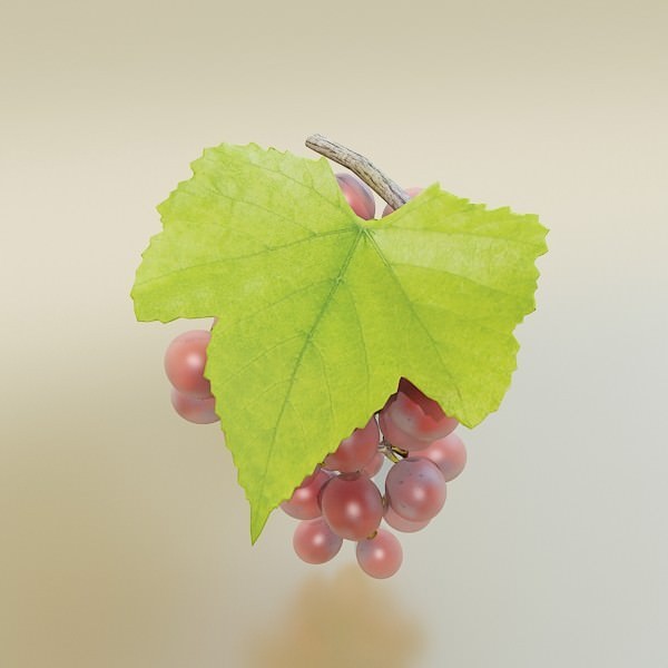Red Grapes in Bowl 12 3D model_9