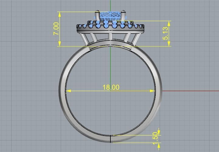Ring Model 1868 3D print model_5