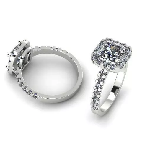 Ring Model 1867 3D print model_0