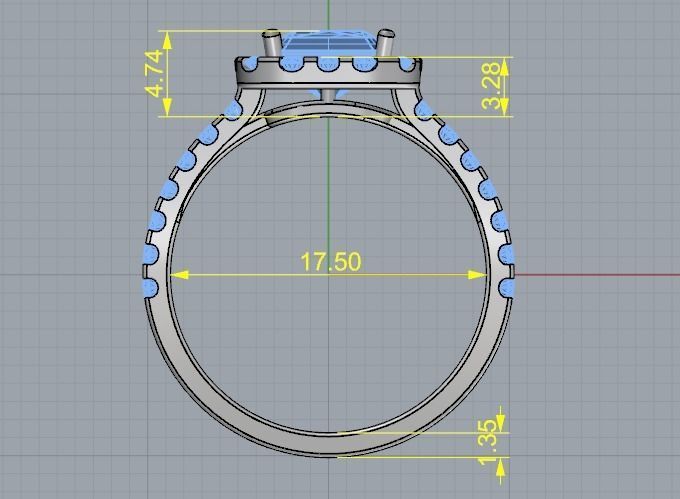 Ring Model 1867 3D print model_4