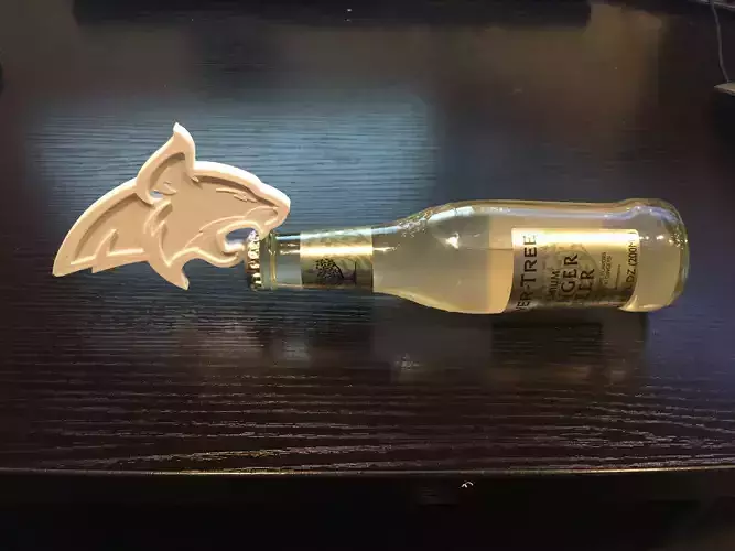 Bottle Opener 3D print model