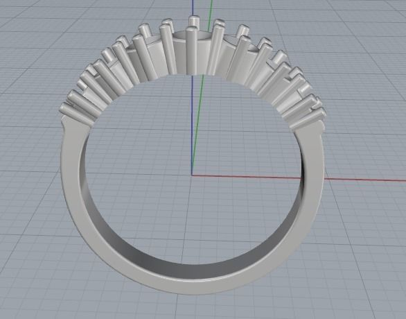 Ring 16mm Model 1869 3D print model_2