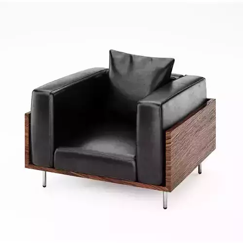 BRASILIA ARMCHAIR