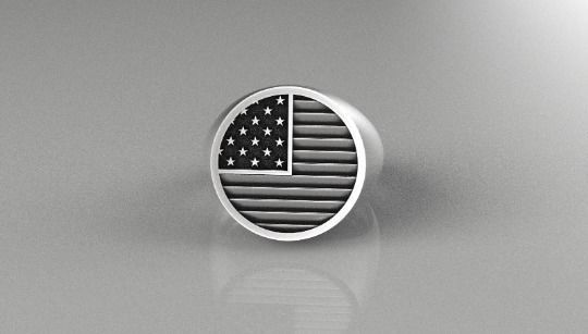 United States of America Sterling  US Flag 3D print model_2