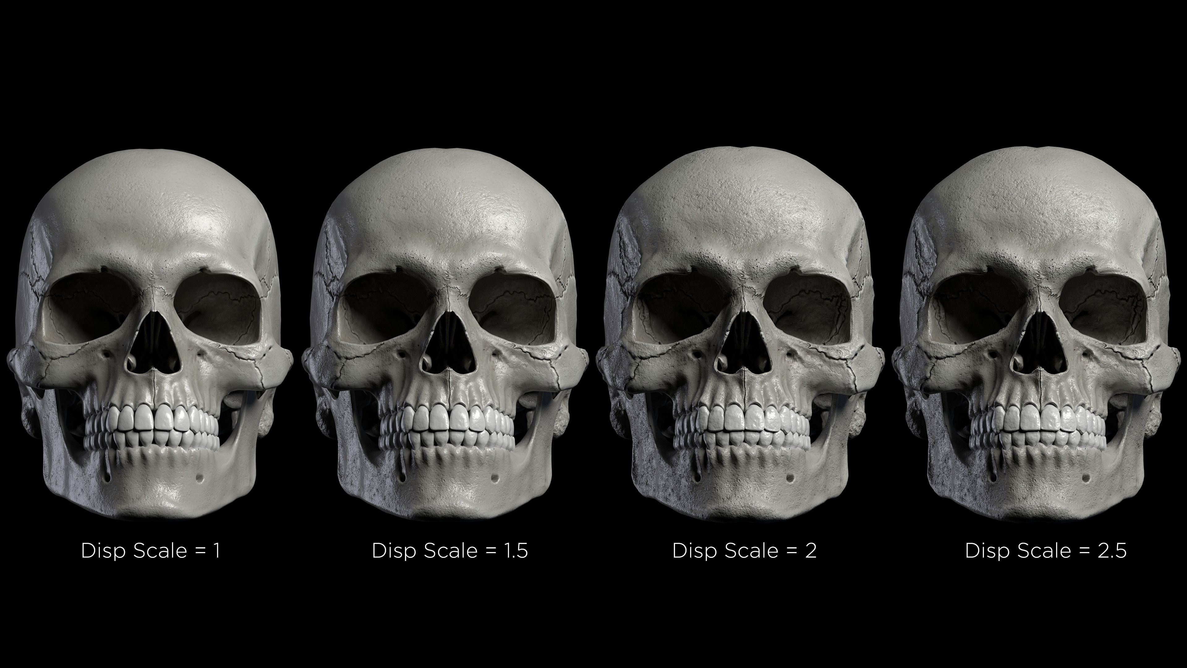 Skeleton Rigged - Skeleton Rig - Skeletal System Low-poly 3D model_37