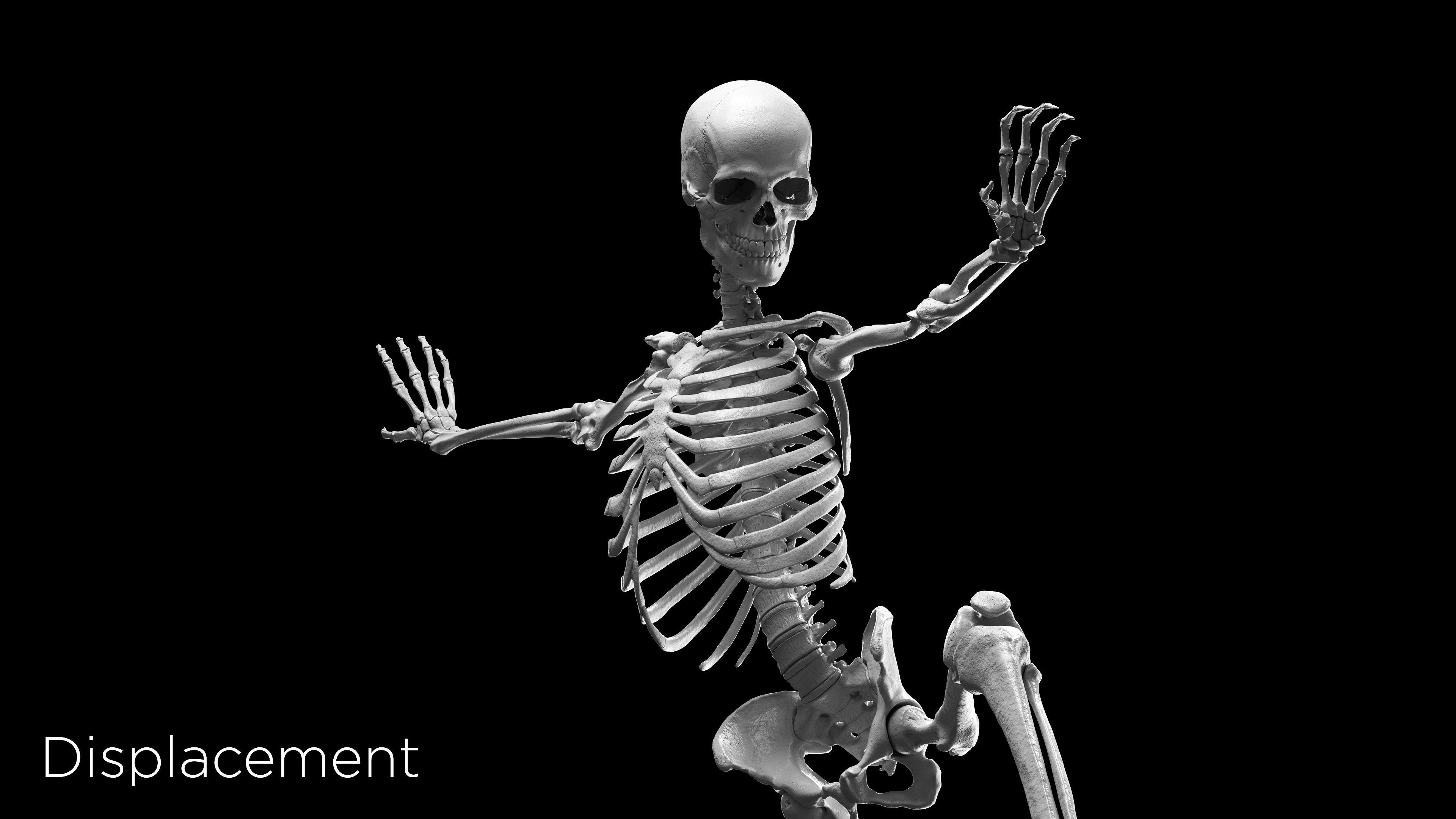 Skeleton Rigged - Skeleton Rig - Skeletal System Low-poly 3D model_14