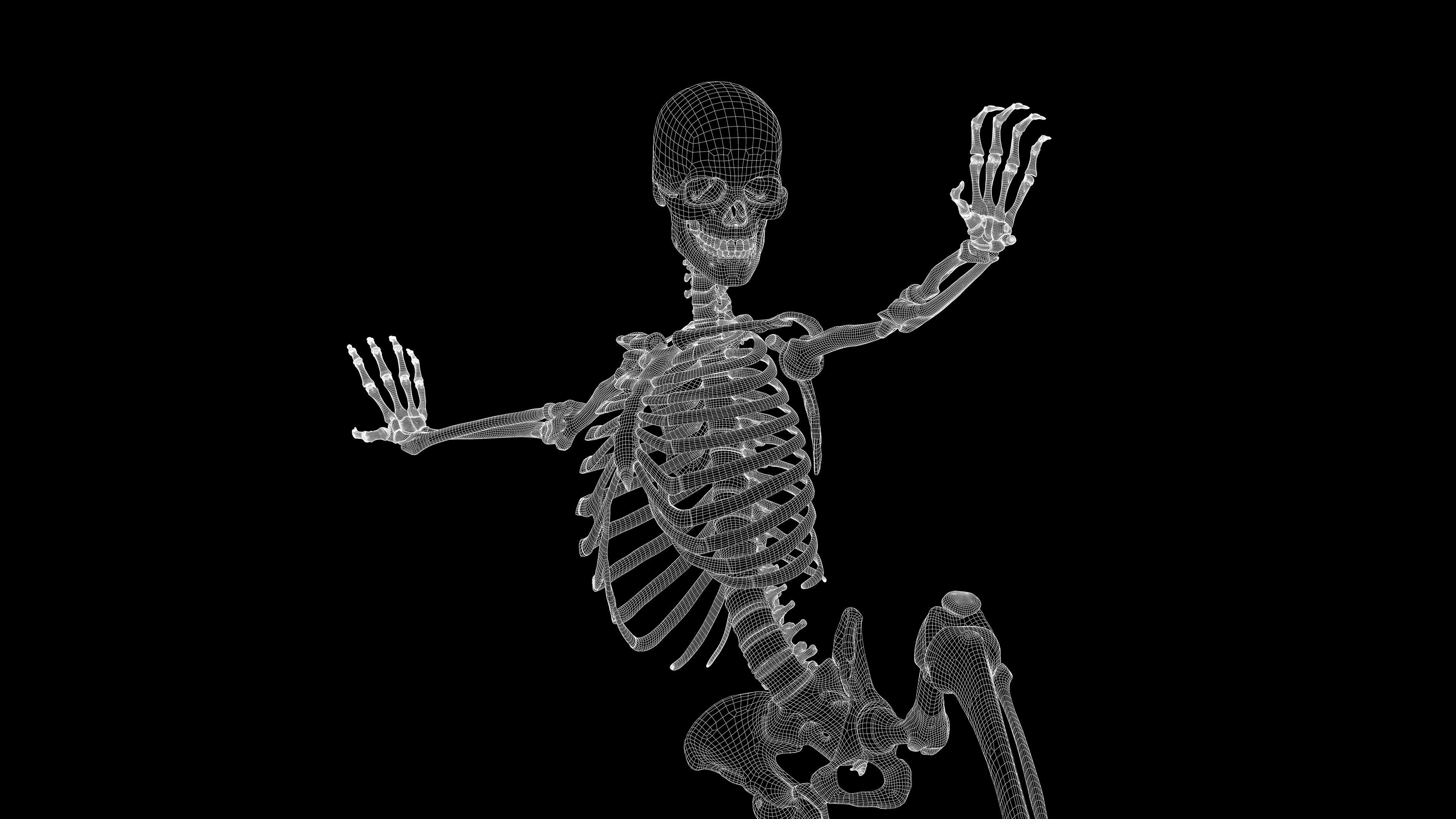 Skeleton Rigged - Skeleton Rig - Skeletal System Low-poly 3D model_118
